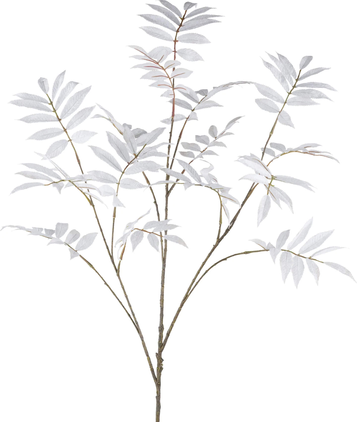 Gasper Kunstblumen Sorbuszweig, Naturweiss H: 109 cm | Schubiger Möbel