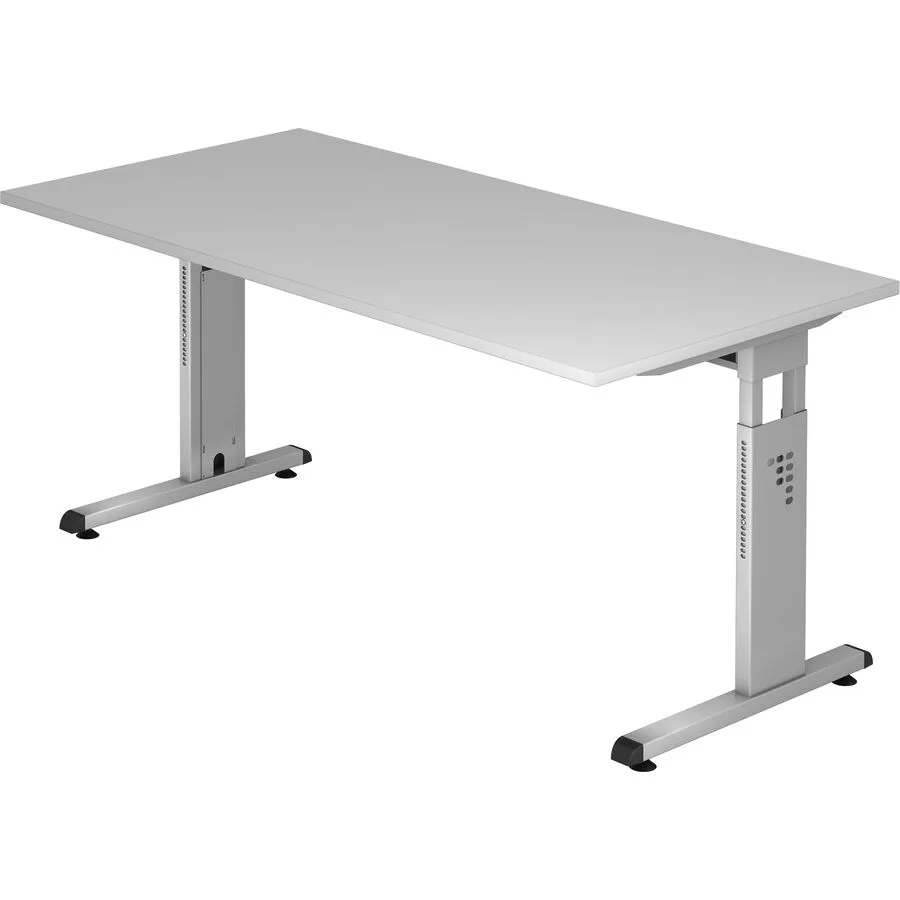 Schreibtisch Office grau Holzwerkstoff B 160 T 80 cm