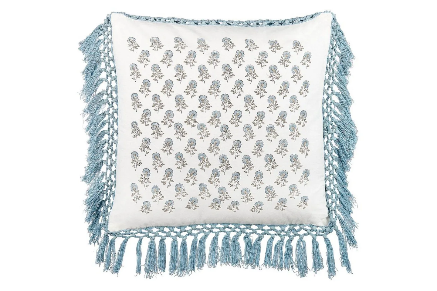 Prydnadskuddar Pallida -
