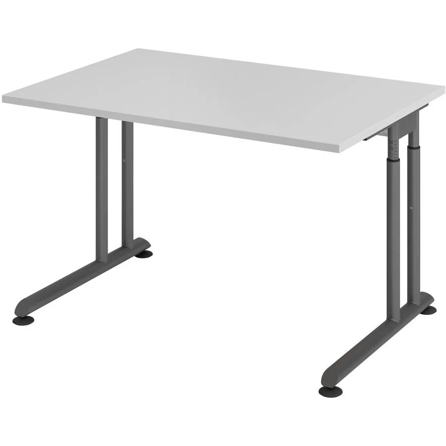 Schreibtisch Office grau Holzwerkstoff B 120 T 80 cm