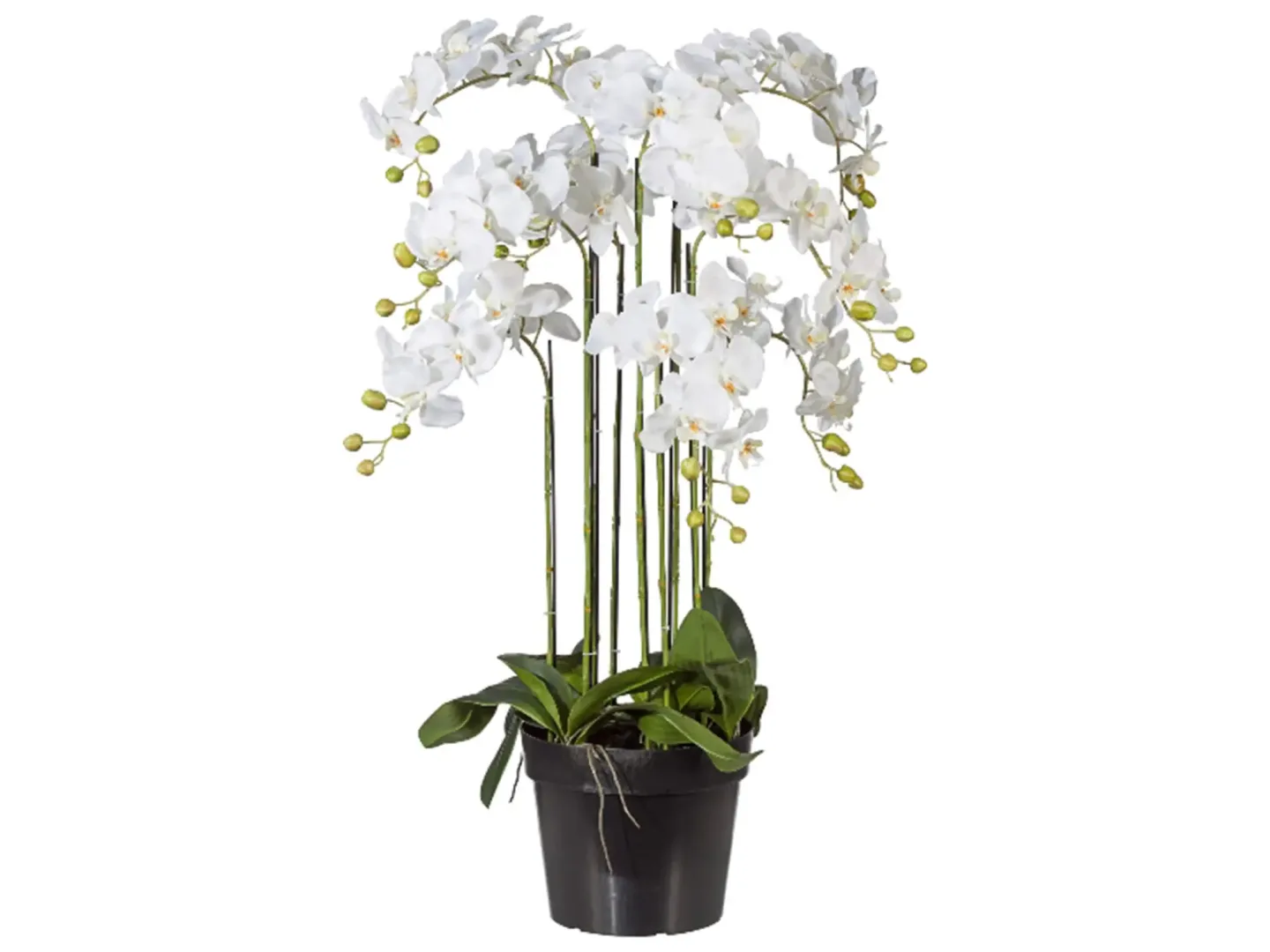 Gasper Kunstpflanze Orchidee Weiss im Topf H: 110 cm | Schubiger Möbel