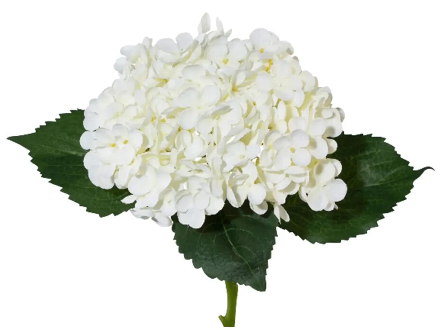 Gasper Kunstblume Hortensie, Weiss | Schubiger Möbel