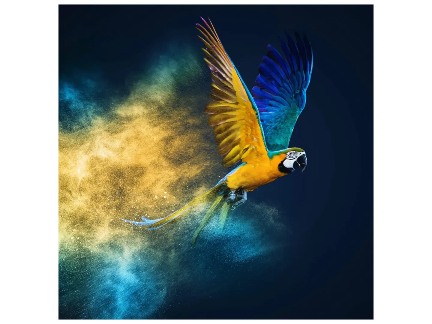 image LAND Digitaldruck auf Glas Fliegender Papagei | Schubiger Möbel