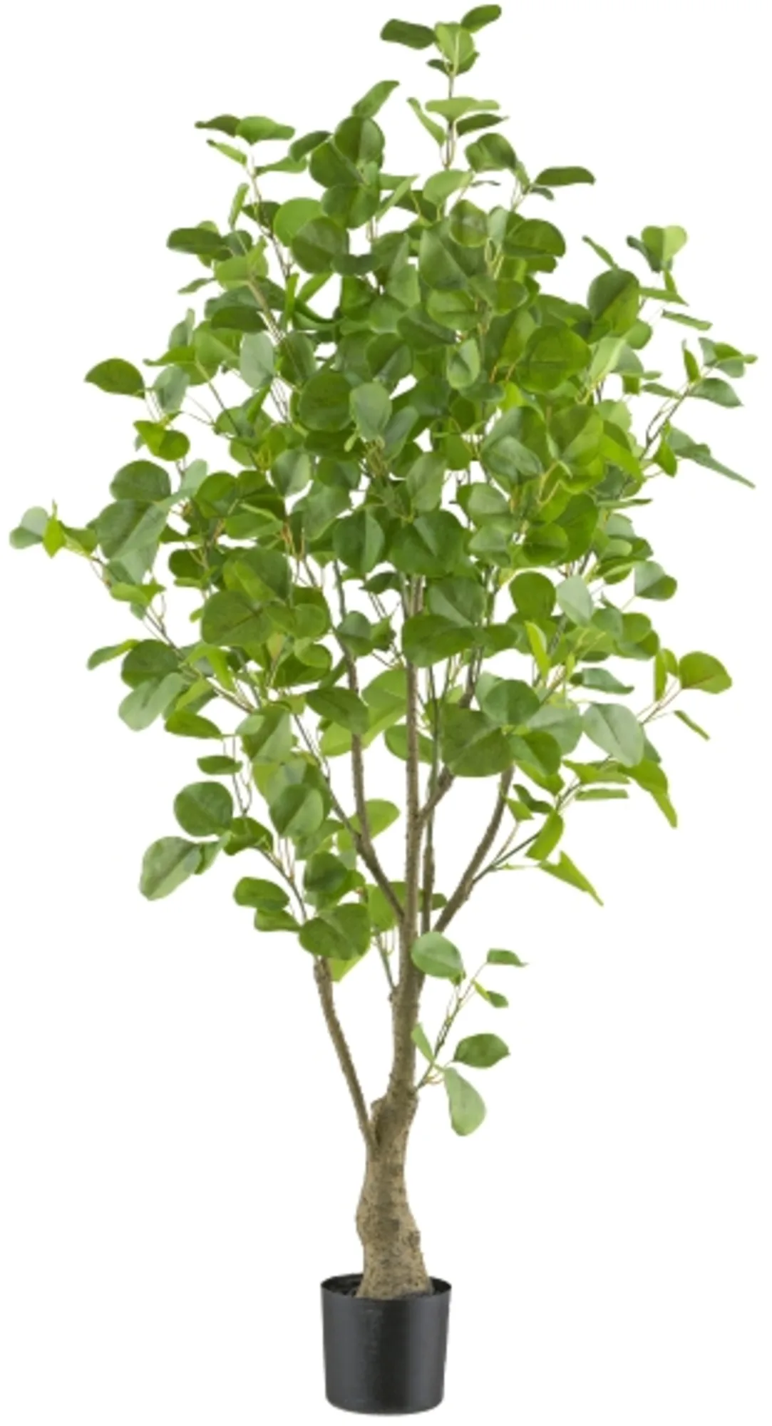 Gasper Kunstpflanzen Eukalyptus im Kunststofftopf H: 130 cm | Schubiger Möbel