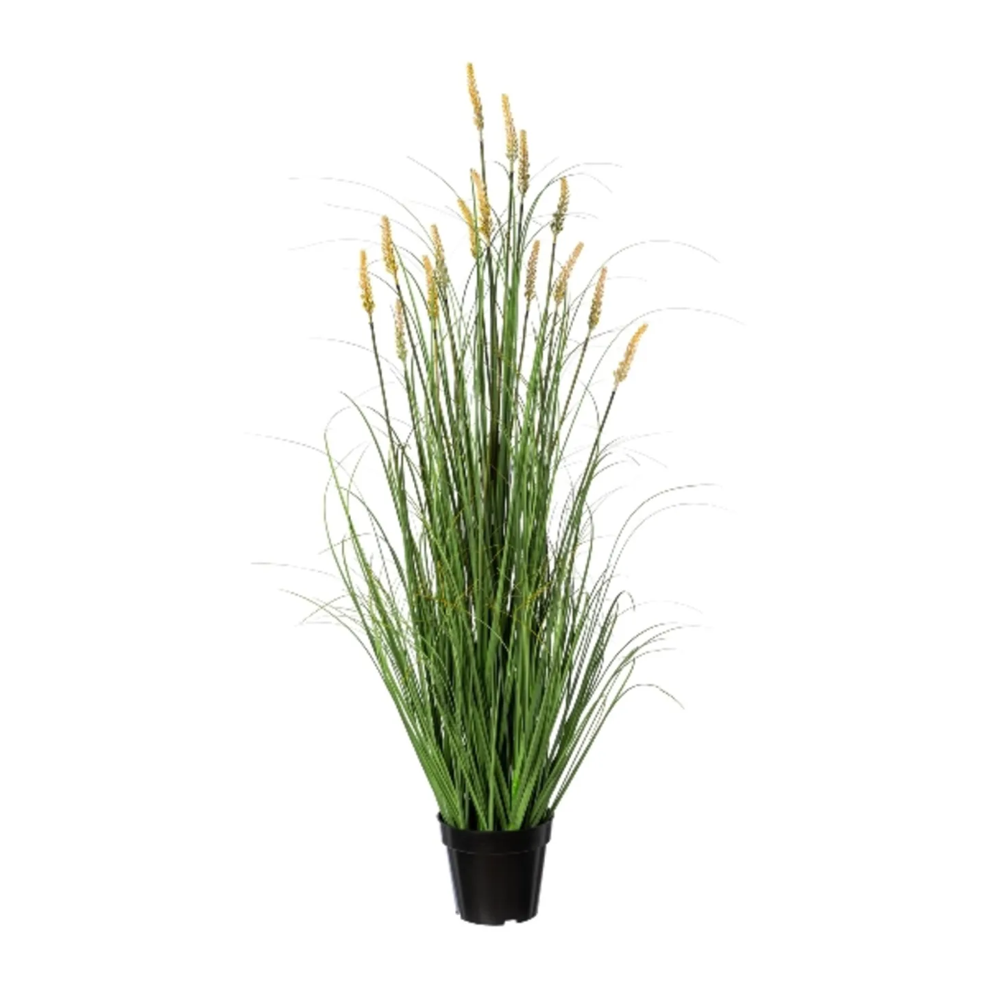 Gasper Kunstpflanzen Pennisetum im Topf H: 120 cm | Schubiger Möbel