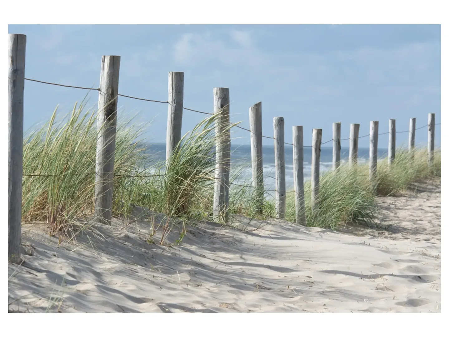 image LAND Digitaldruck auf Acrylglas Zaun in Den Dünen | Schubiger Möbel
