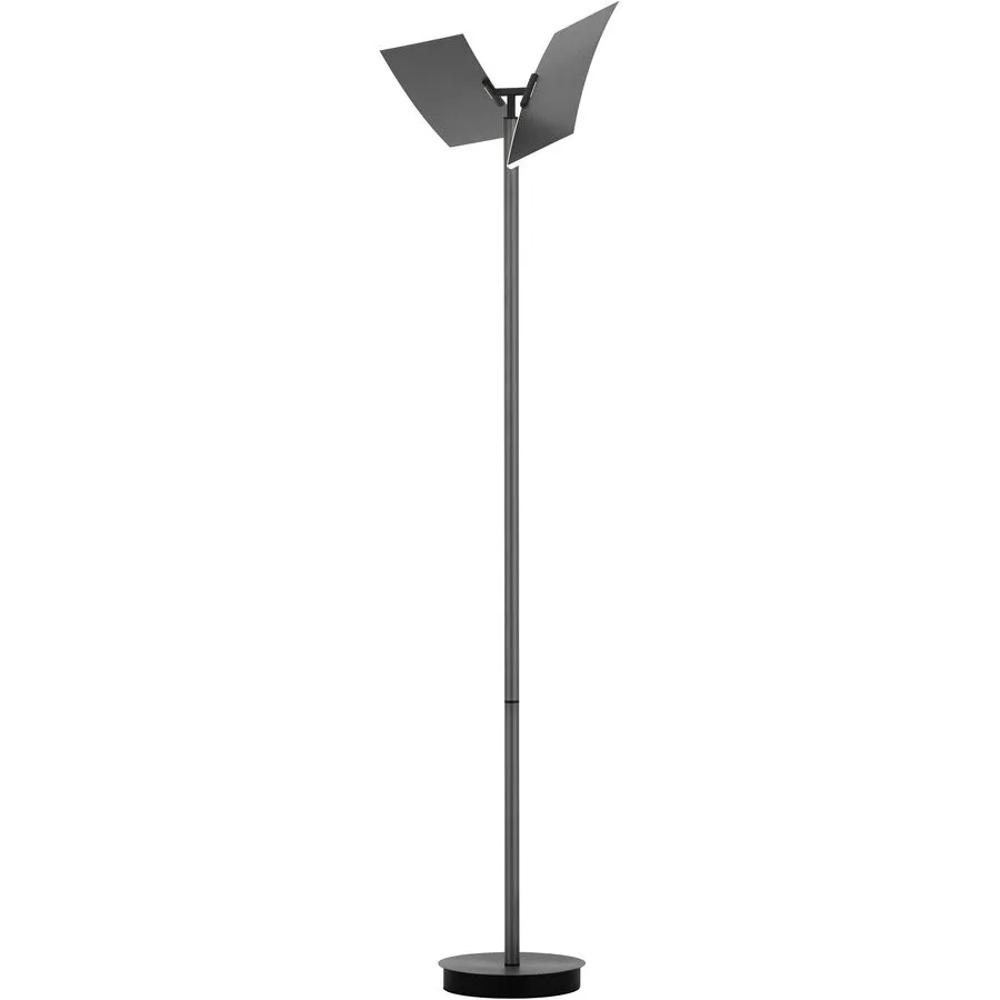 Stehlampe Twice Grau Aluminium/Eisen 185 cm - Farbe: Anthrazit eloxiert - LED - Lichtfarbe: Extra warmweiss - Helles Neutralweiss - Stehlampe- LED
