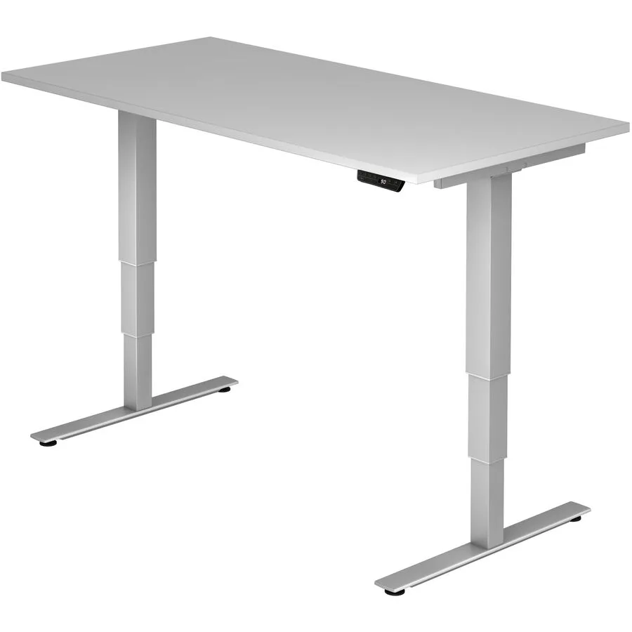 Schreibtisch Office grau Holzwerkstoff B 160 T 80 cm