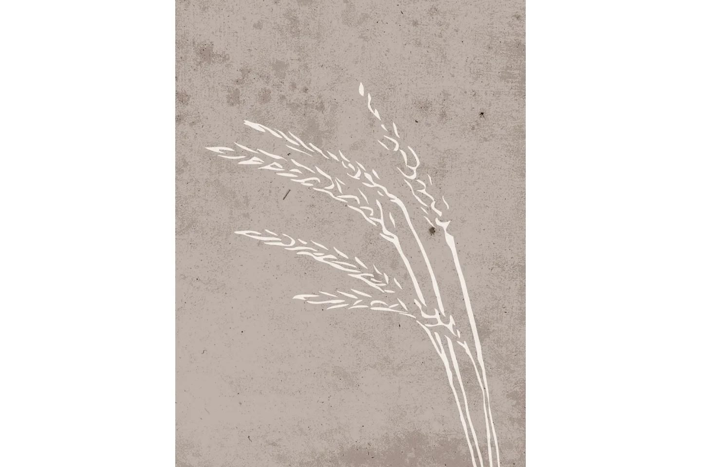 Poster Seeds 30x40 cm - Beige