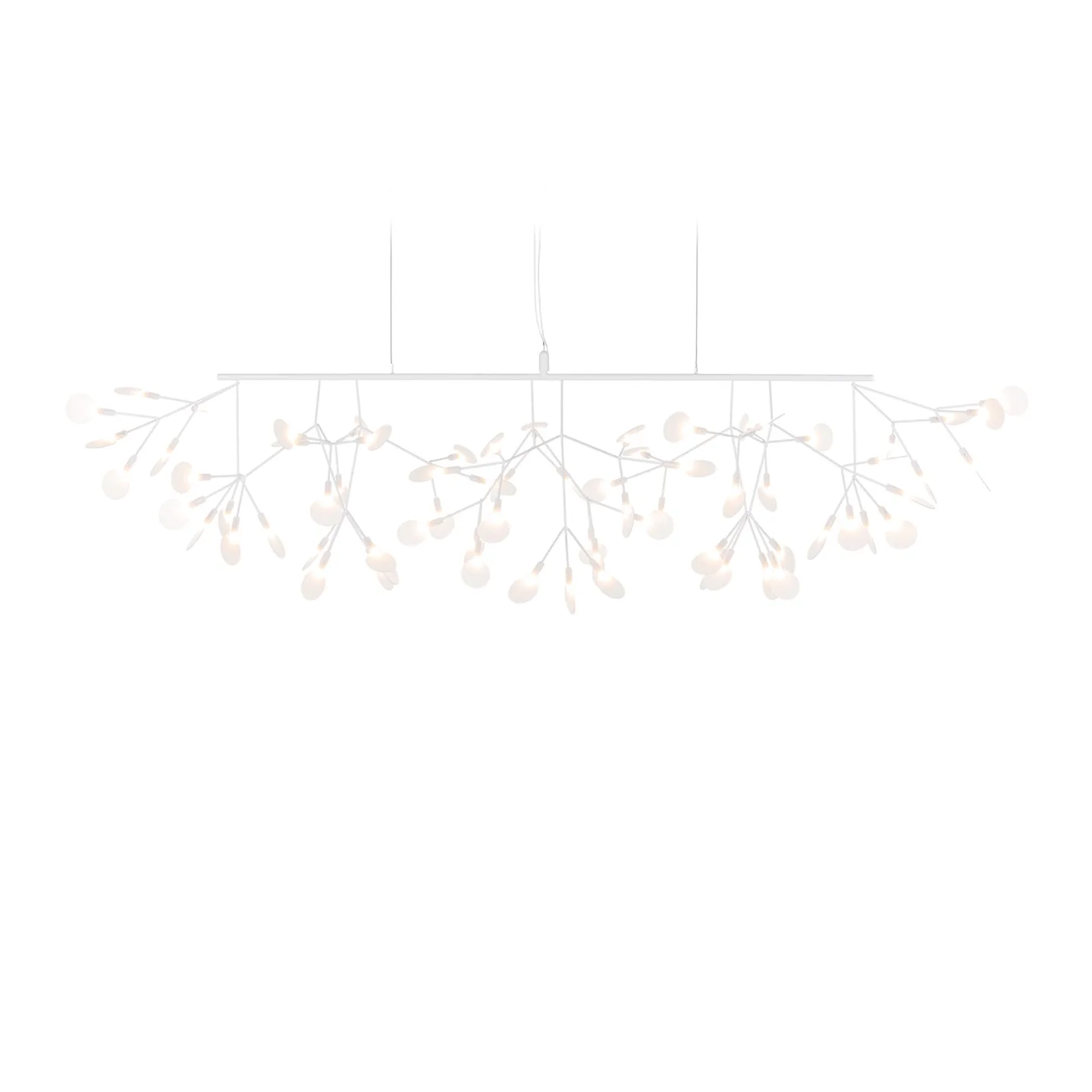 Moooi - Heracleum III Linear White - Takkronor - Bertjan Pot - Vit