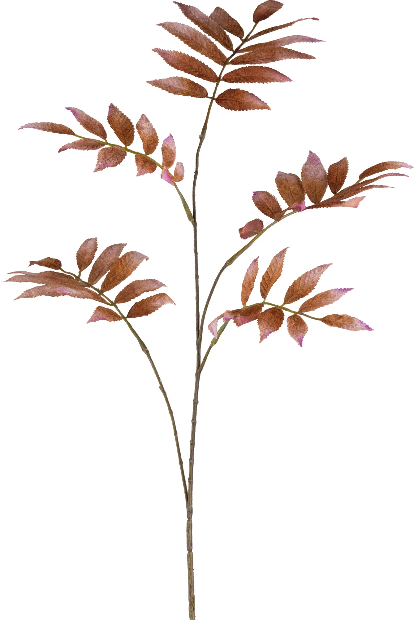 Gasper Kunstblume Sorbuszweig, Weiss | Schubiger Möbel