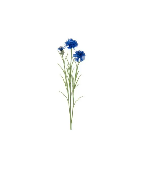 Kornblomst afskåret blomst blå