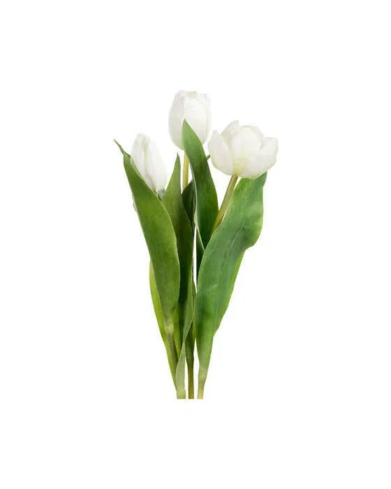 Tulipan – afskåret blomst i hvid