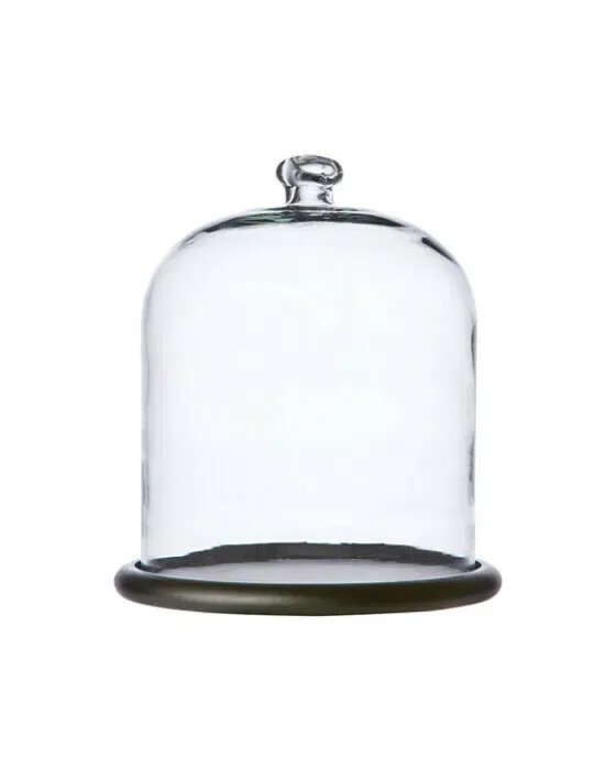 Bella Bell Glass Dome Wood