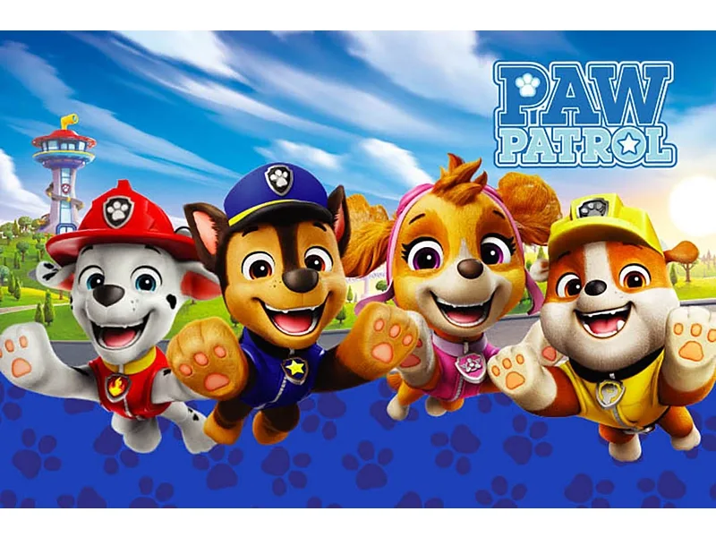 Kinderteppich PAW PATROL 45x70cm