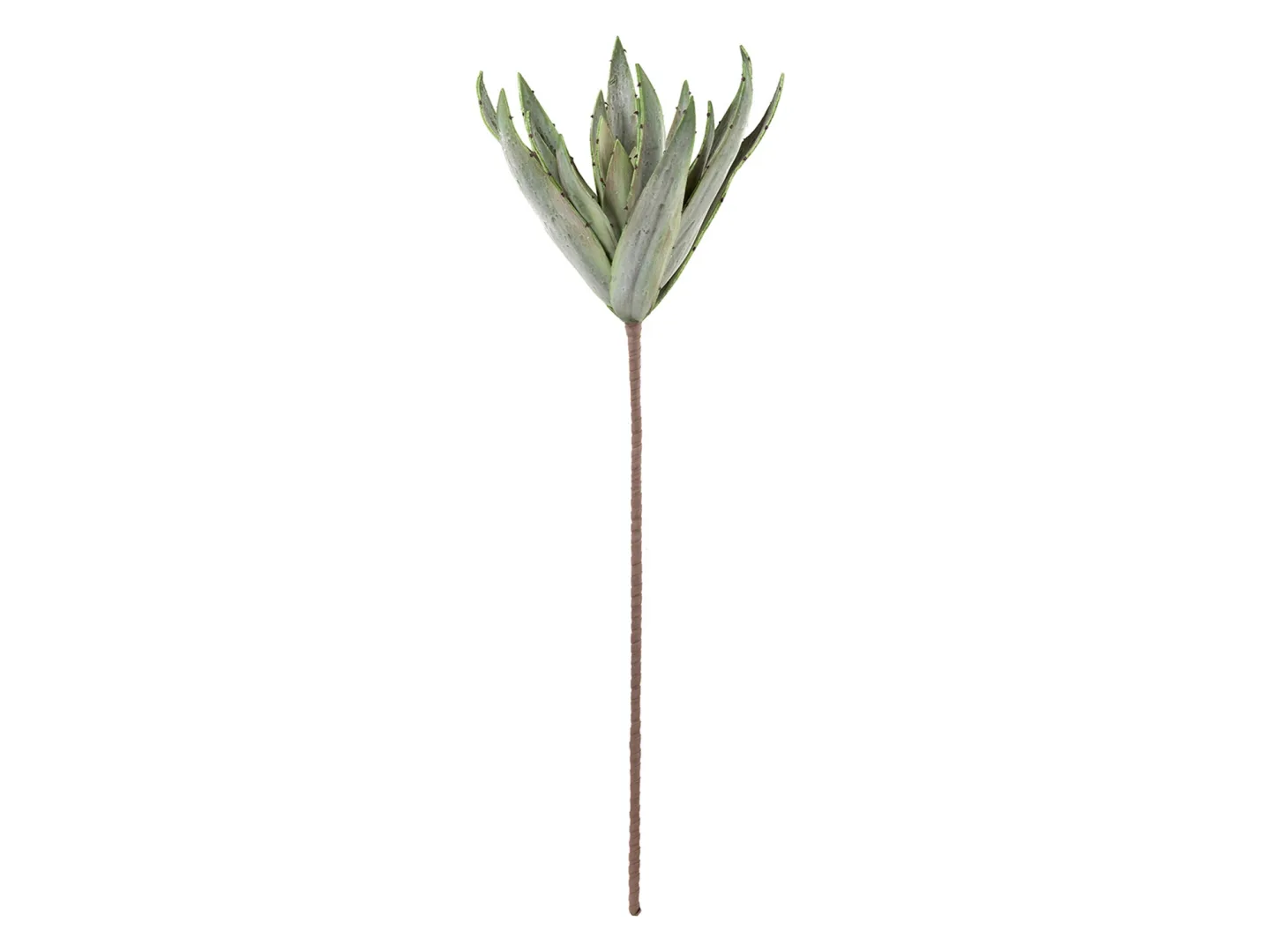 Gilde Kunstblumen Kaktusblätter H: 110 cm | Schubiger Möbel