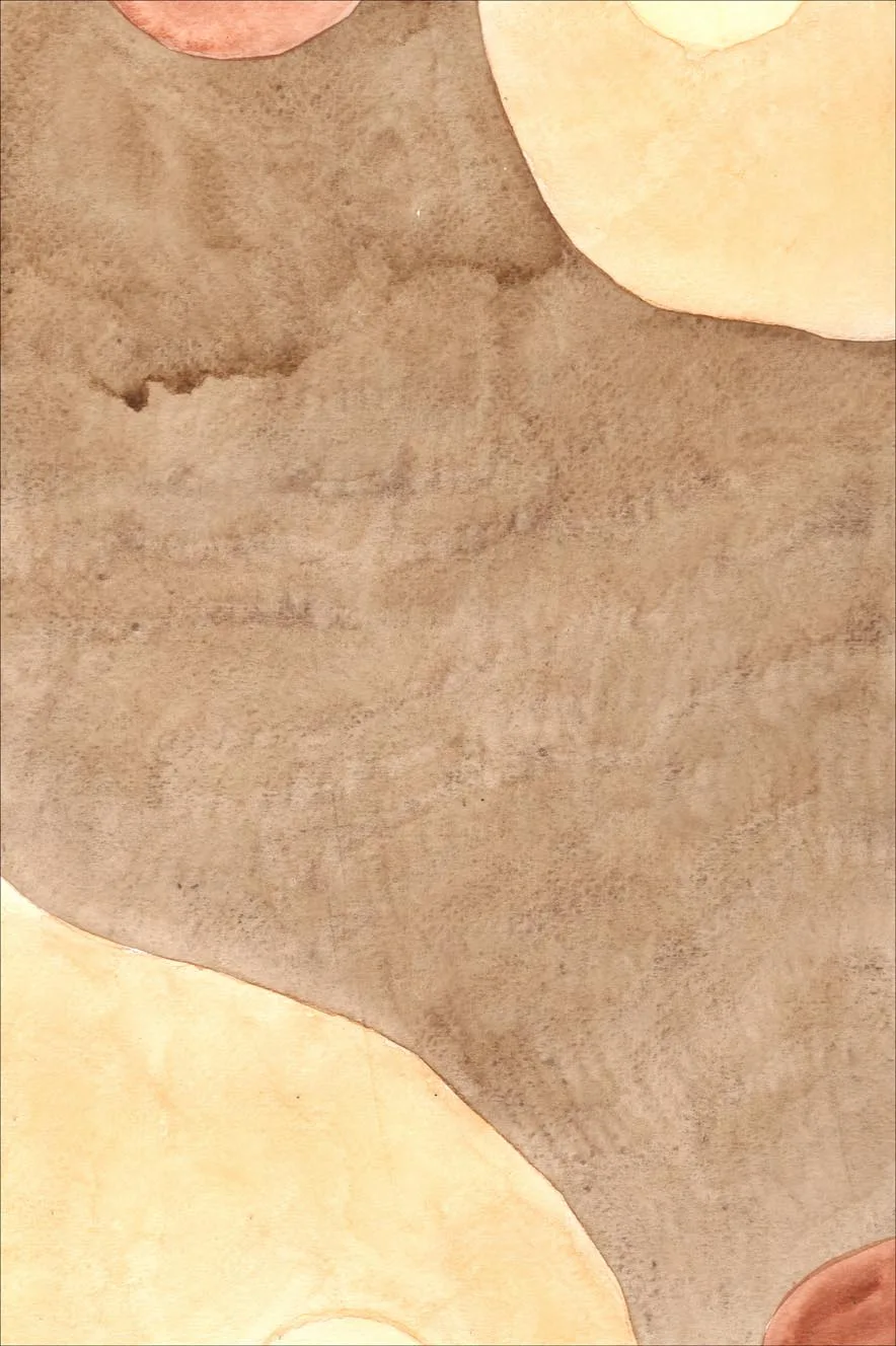 Wilton-teppe - Nisa (brun/beige) (Size: 180 x 270 cm)