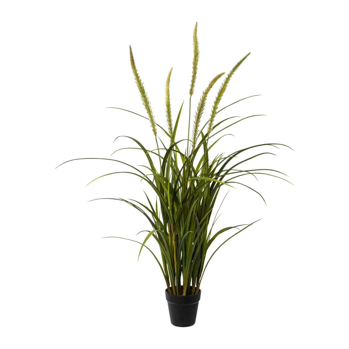 Gasper Kunstpflanze Miscanthus im Topf | Schubiger Möbel