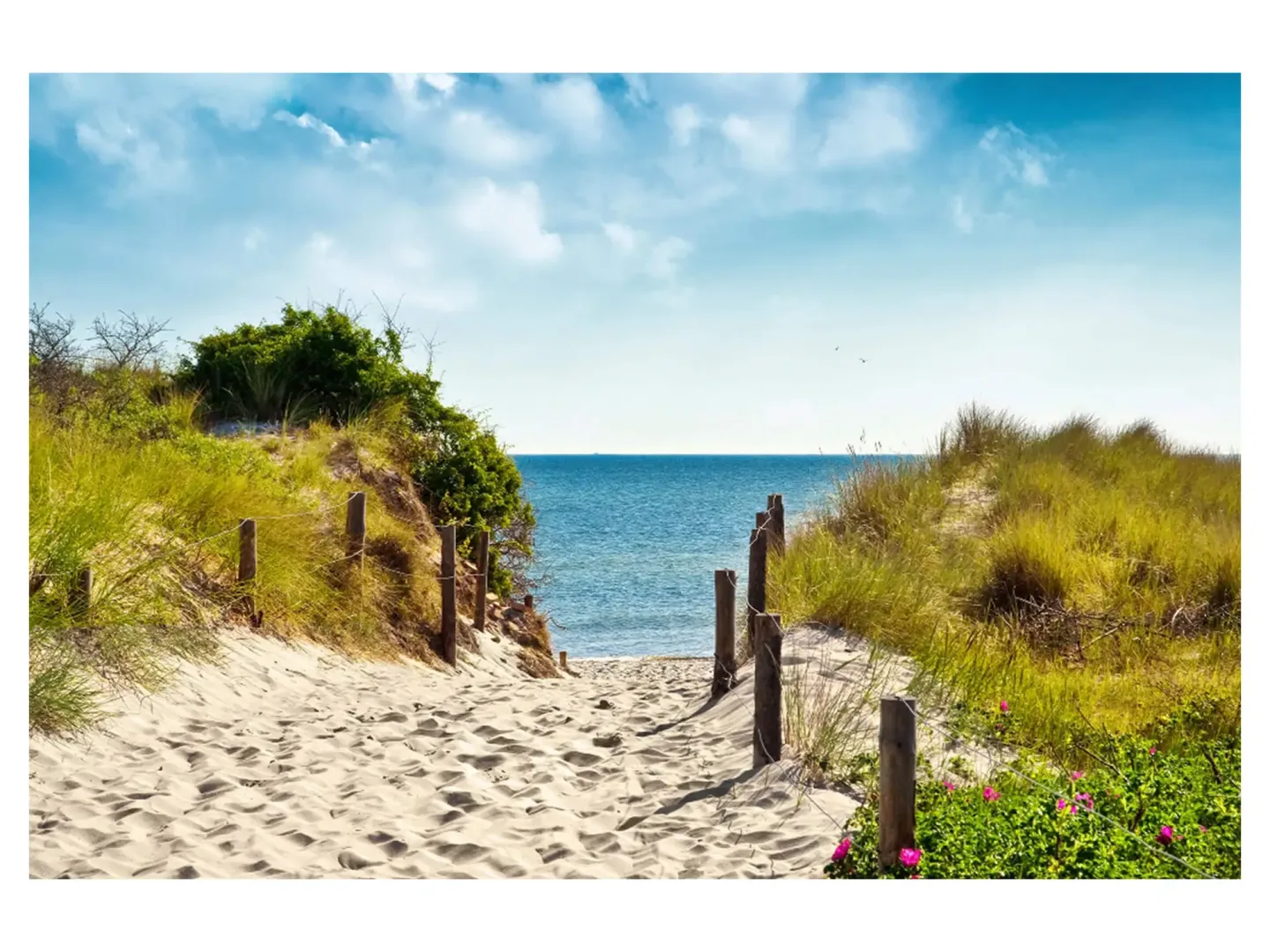 image LAND Digitaldruck auf Acrylglas Sandweg Zum Meer 1 | Schubiger Möbel