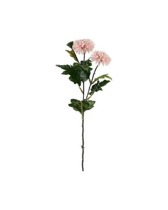Chrysanthemum snitblomst lyserød