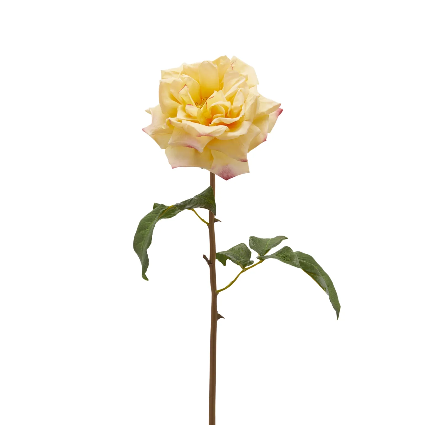 Edg Kunstblume Rose Hellgelb H: 50 cm | Schubiger Möbel