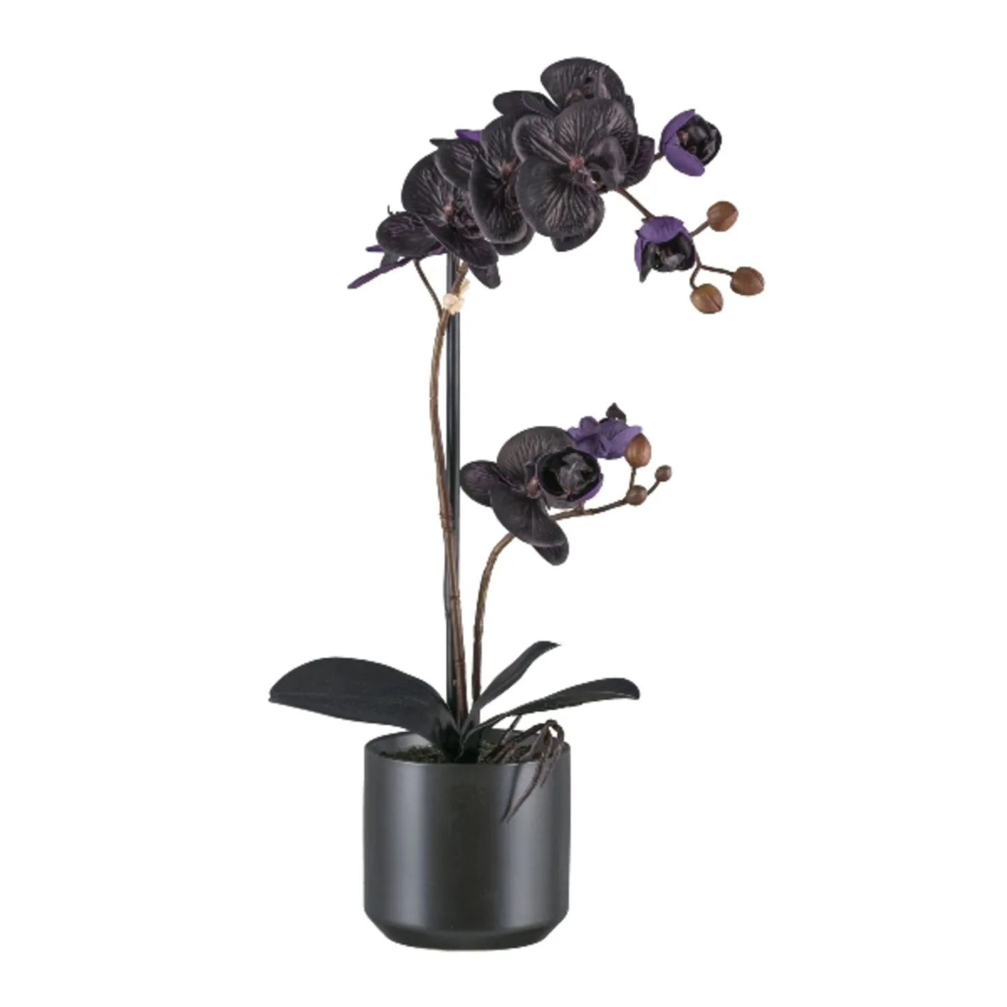 Gasper Kunstpflanzen Phalaenopsis im Keramiktopf, Schwarz | Schubiger Möbel