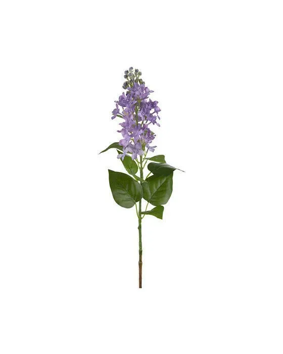 Syrén snittblomma blå