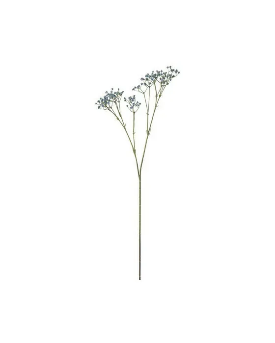Brudeslør afskårne blomster blå