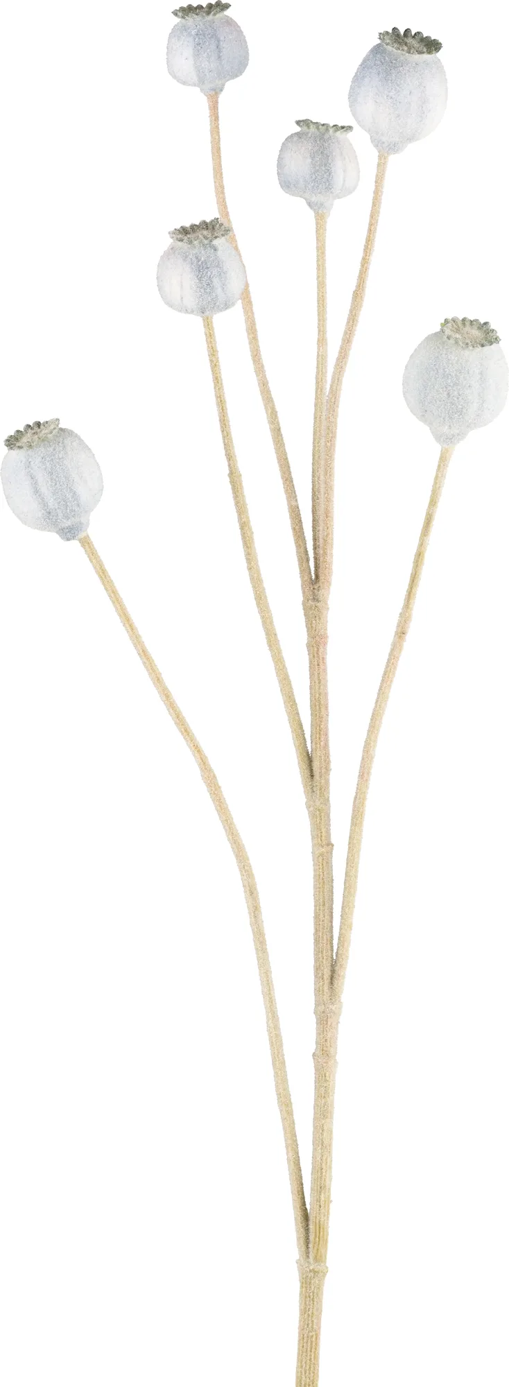 Gasper Kunstblumen Mohn, Wolkenblau H: 79 cm | Schubiger Möbel