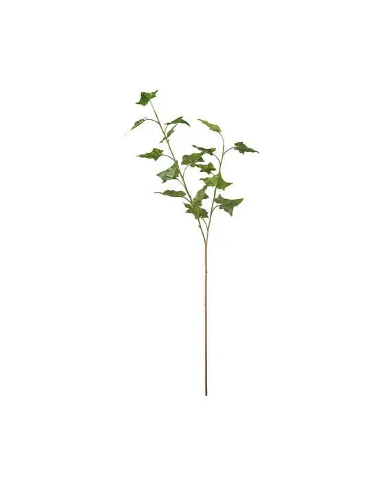 Vedbend snitblomst