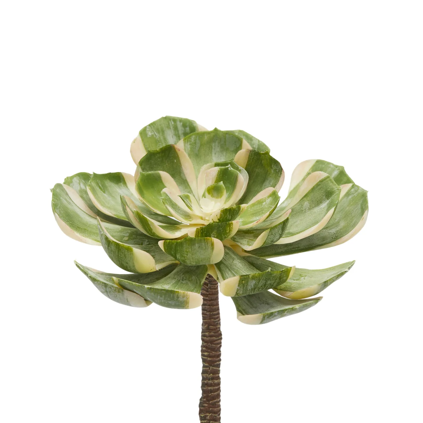 Edg Kunstblume Rosettendickblatt D: 16 cm | Schubiger Möbel