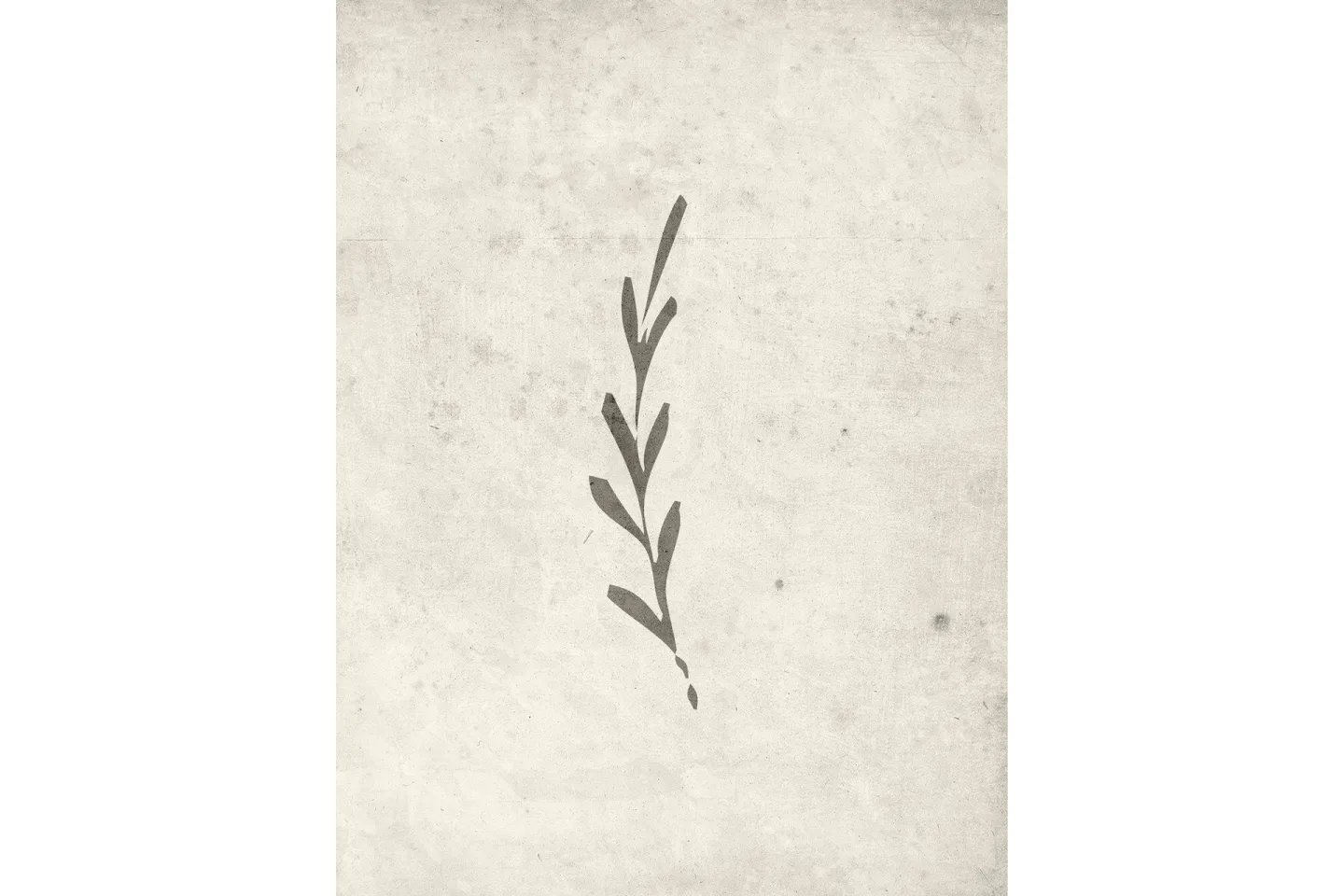 Poster Autumn leaf 30x40 cm - Beige