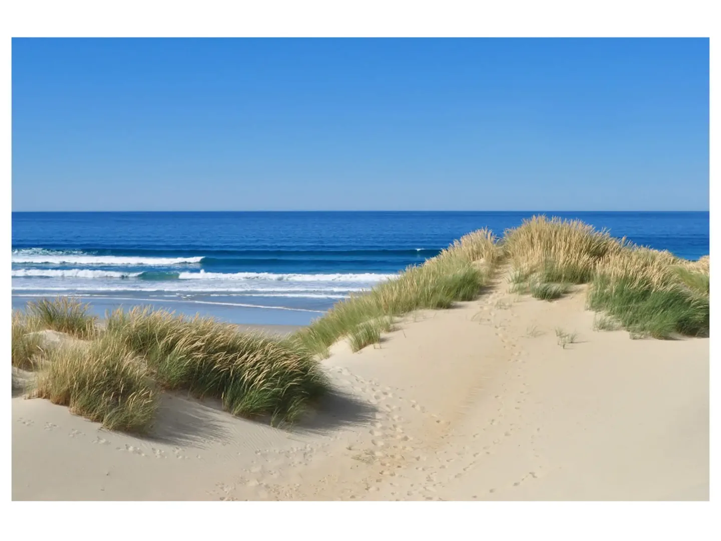 image LAND Digitaldruck auf Acrylglas Dünen am Meer 1 | Schubiger Möbel