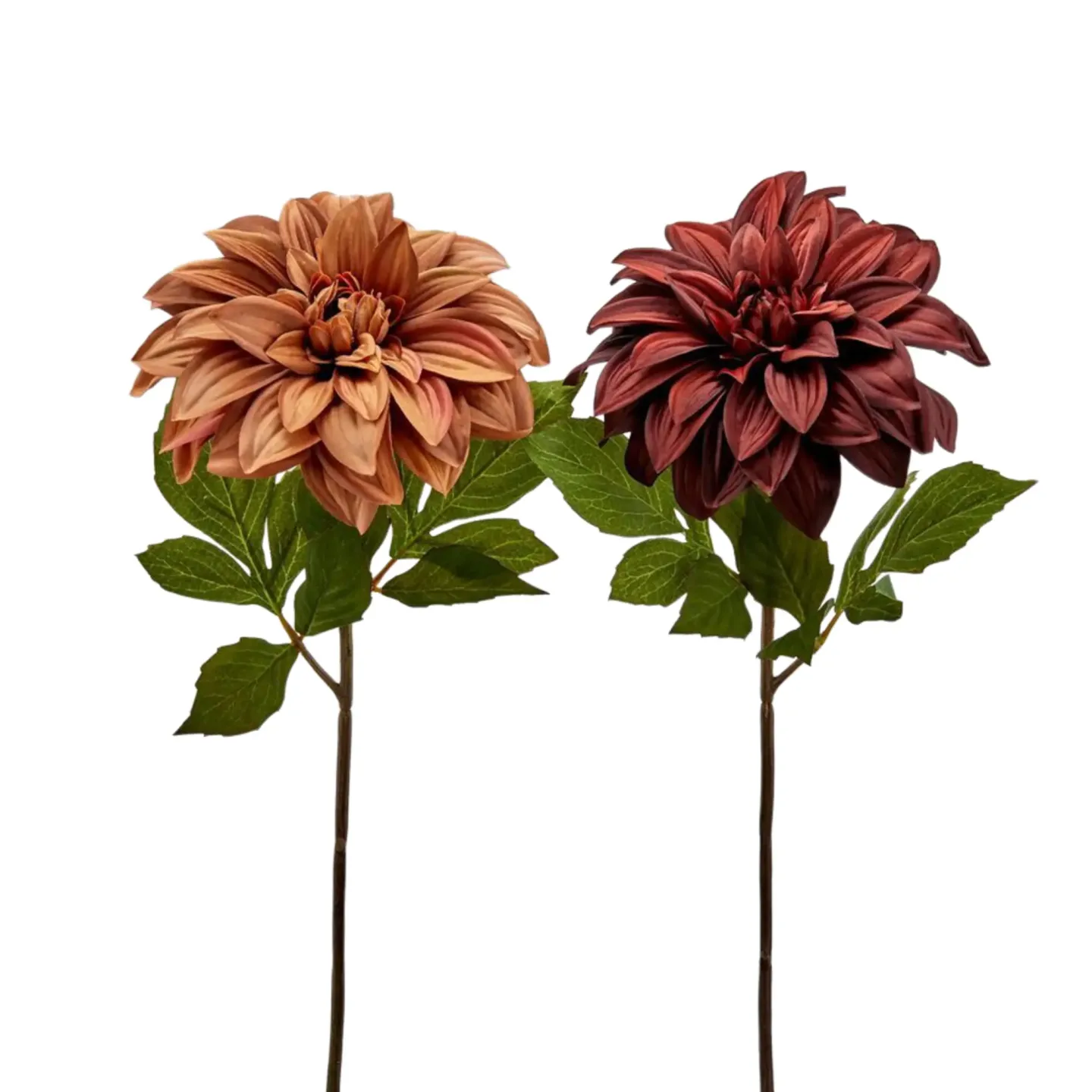 Edg Kunstblume Dahlie Braun-Rot H: 50 cm | Schubiger Möbel