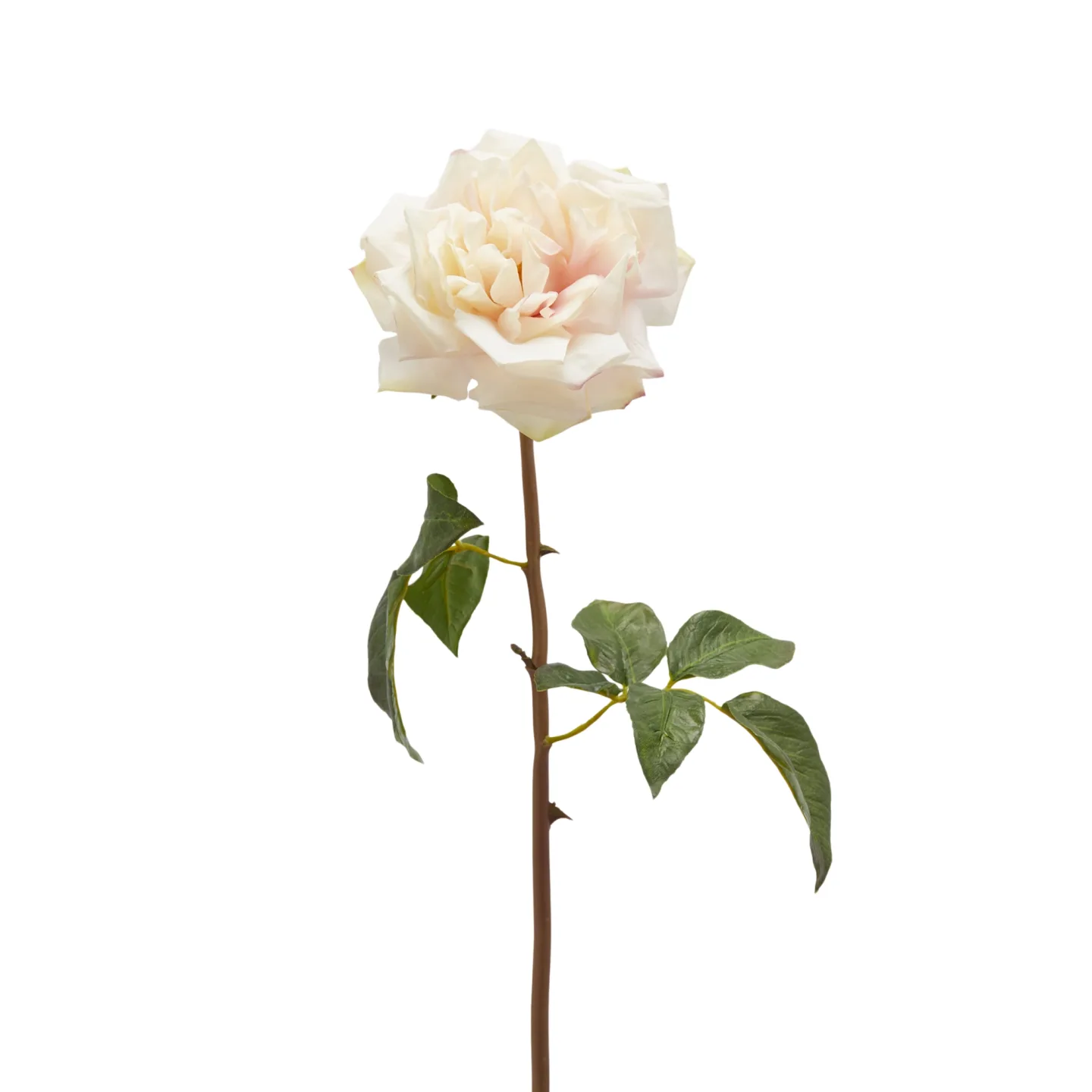 Edg Kunstblume Rose Cremè H: 50 cm | Schubiger Möbel