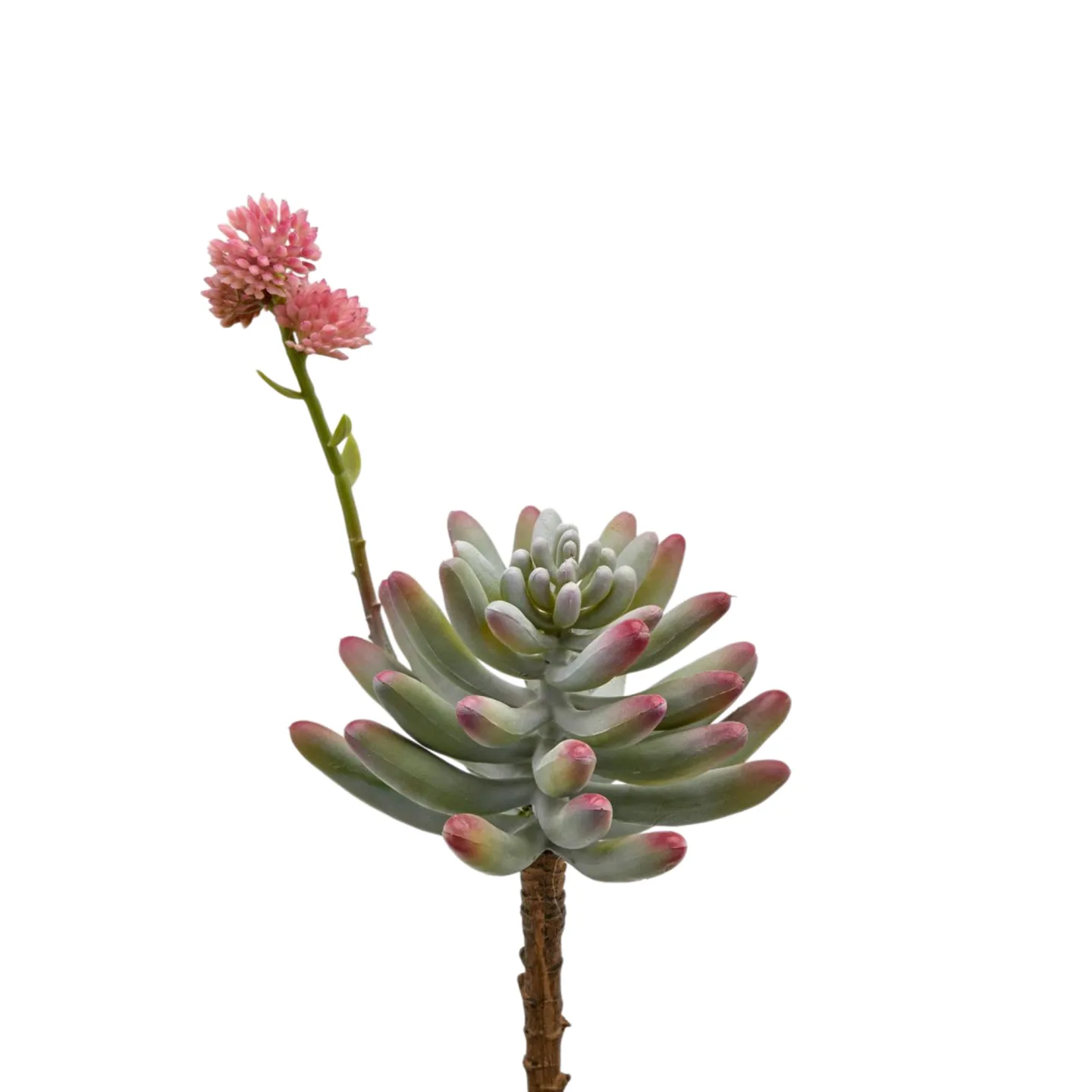 Edg Kunstblume Fetthenne Rosa H: 24 cm | Schubiger Möbel
