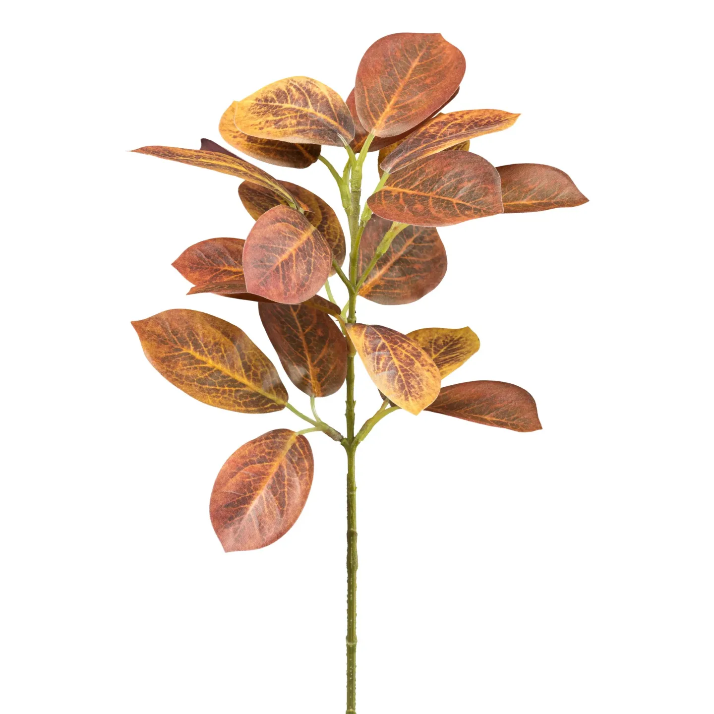 Gasper Kunstblume Cotinuszweitg Rostbraun H: 40 cm | Schubiger Möbel