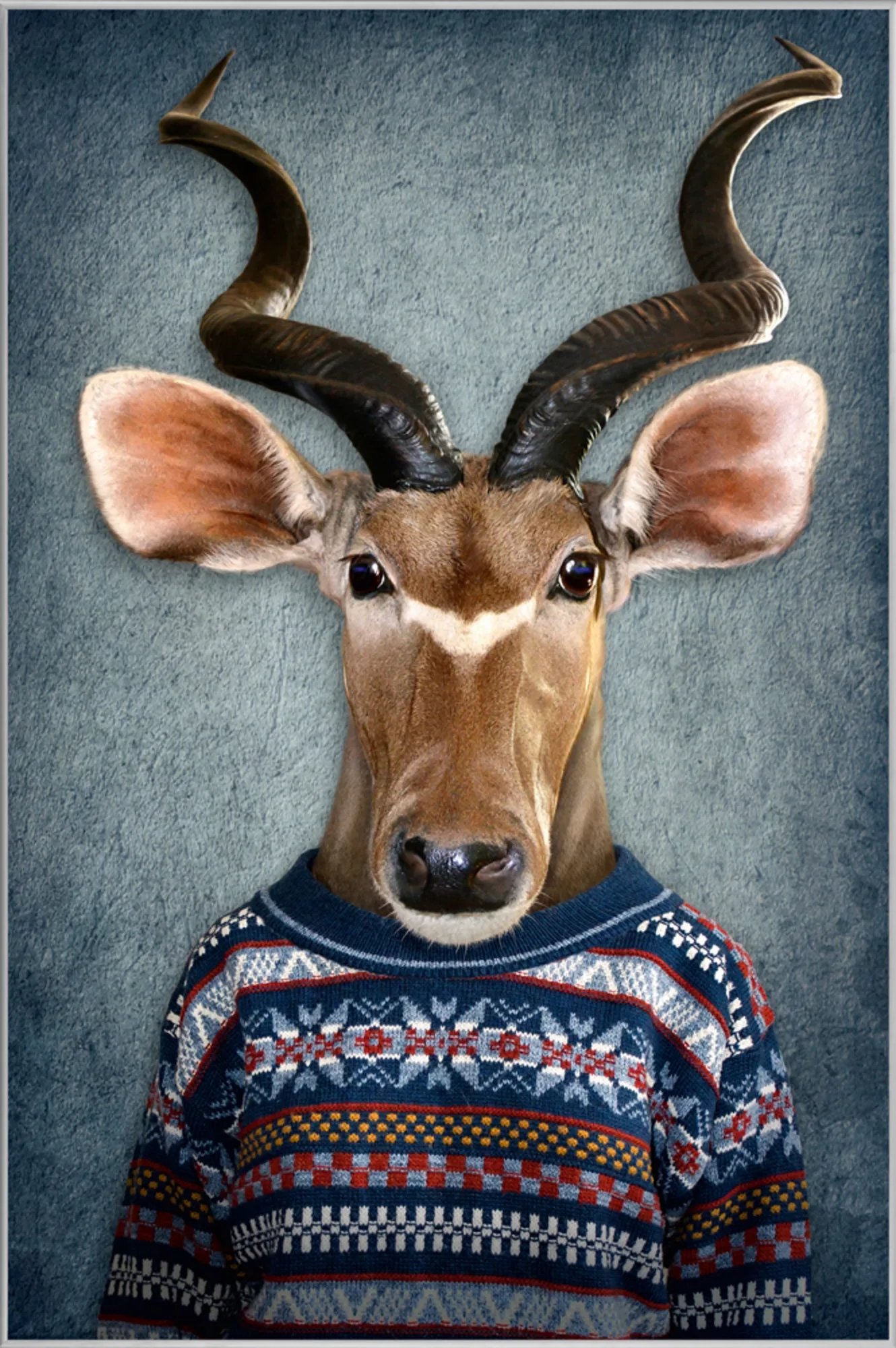 image LAND Bild mit Rahmen Antilope mit Pulli | Schubiger Möbel