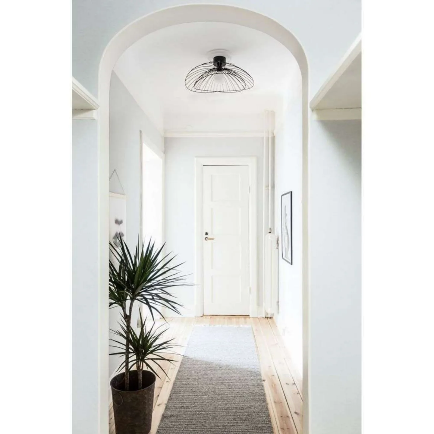 Ray 60 Væg-/Loftlampe Sort - Globen Lighting - Metal