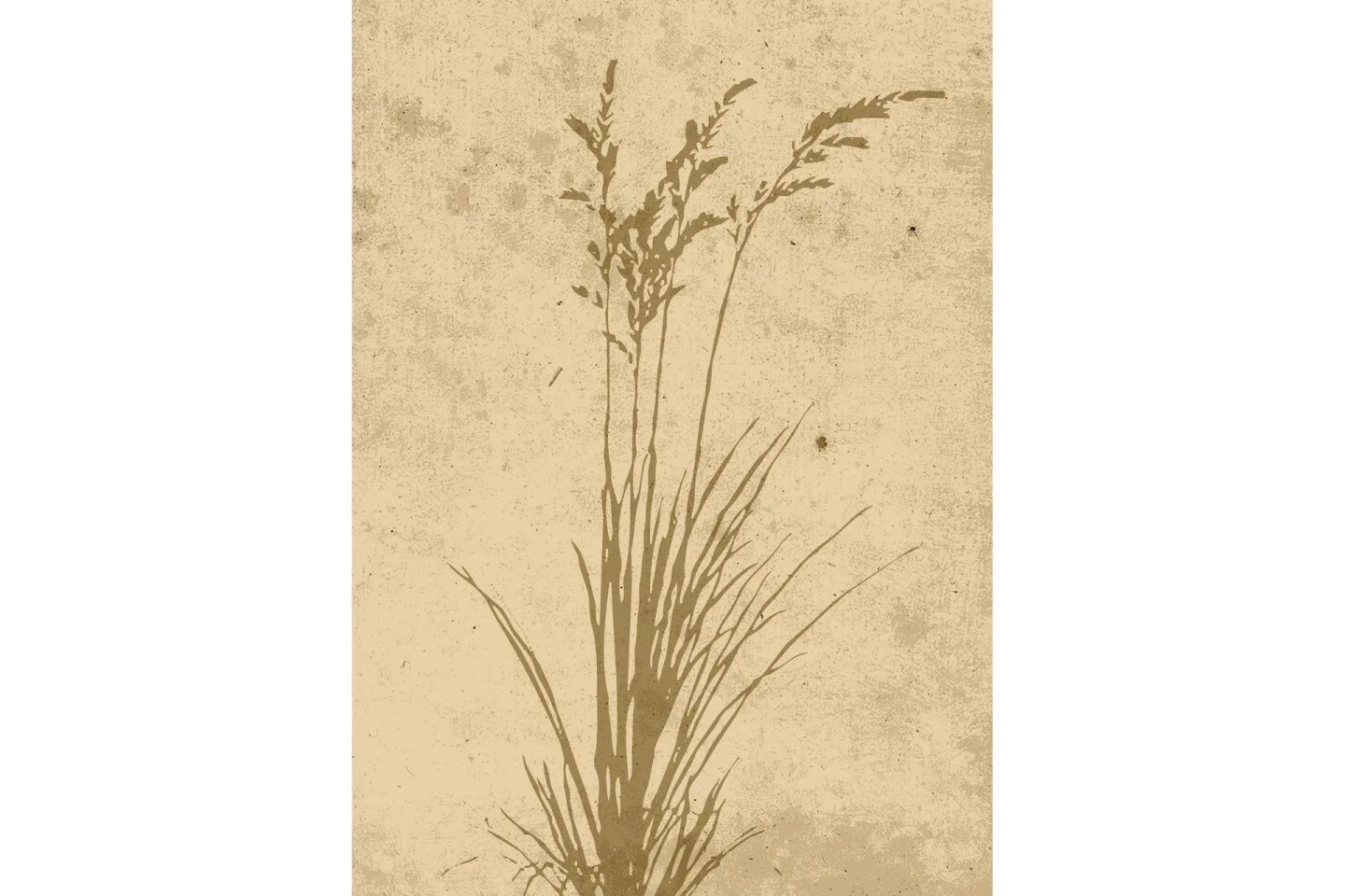 Poster Plant art 50x70 cm - Beige