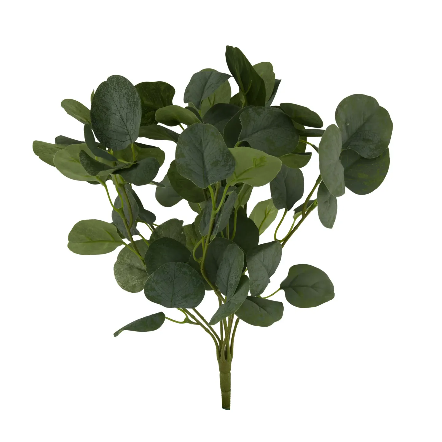 Decofinder Kunstblume Eukalyptus Grün H: 40 cm | Schubiger Möbel