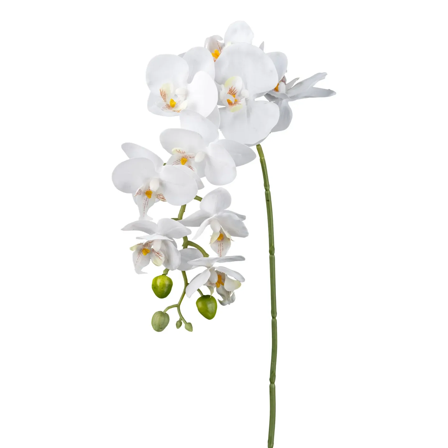 Gasper Kunstblume Orchideenzweig Weiss | Schubiger Möbel