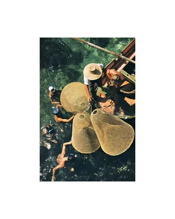 Snorkelling in The Shallows