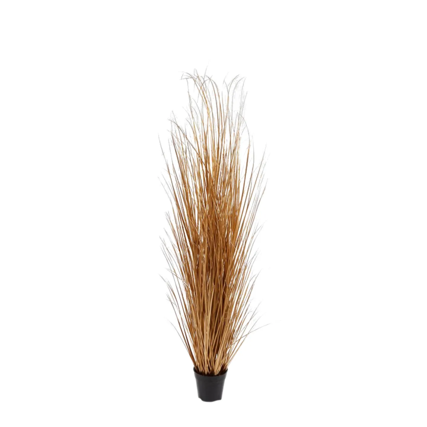 Edg Kunstpflanzen Schilfgras Gold H: 150 cm | Schubiger Möbel