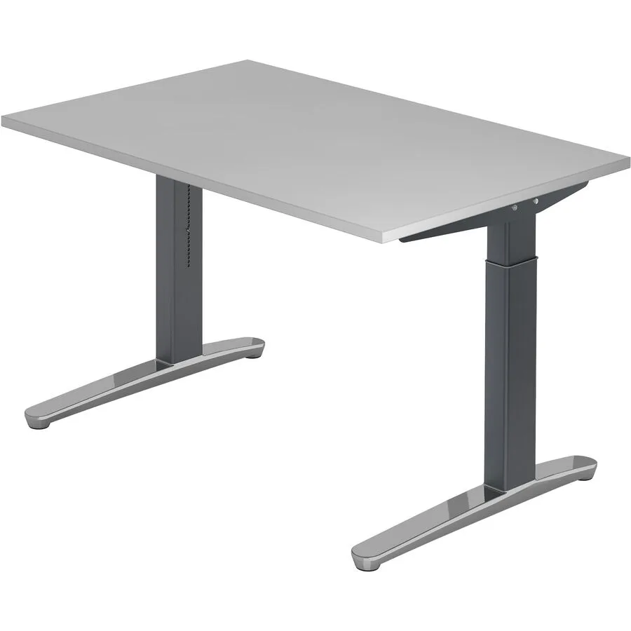 Schreibtisch Office grau Holzwerkstoff B 120 T 80 cm