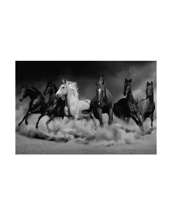 Royal Family of The Desert