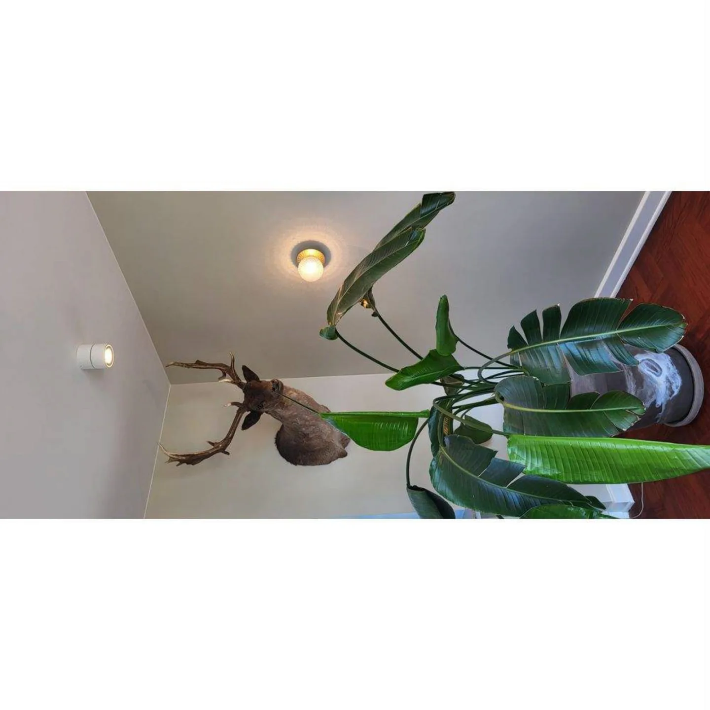 Easy Mini W75 LED-Spot, weiß, 2700K, 5,5 cm - Antidark - Wohnzimmer - Aluminium
