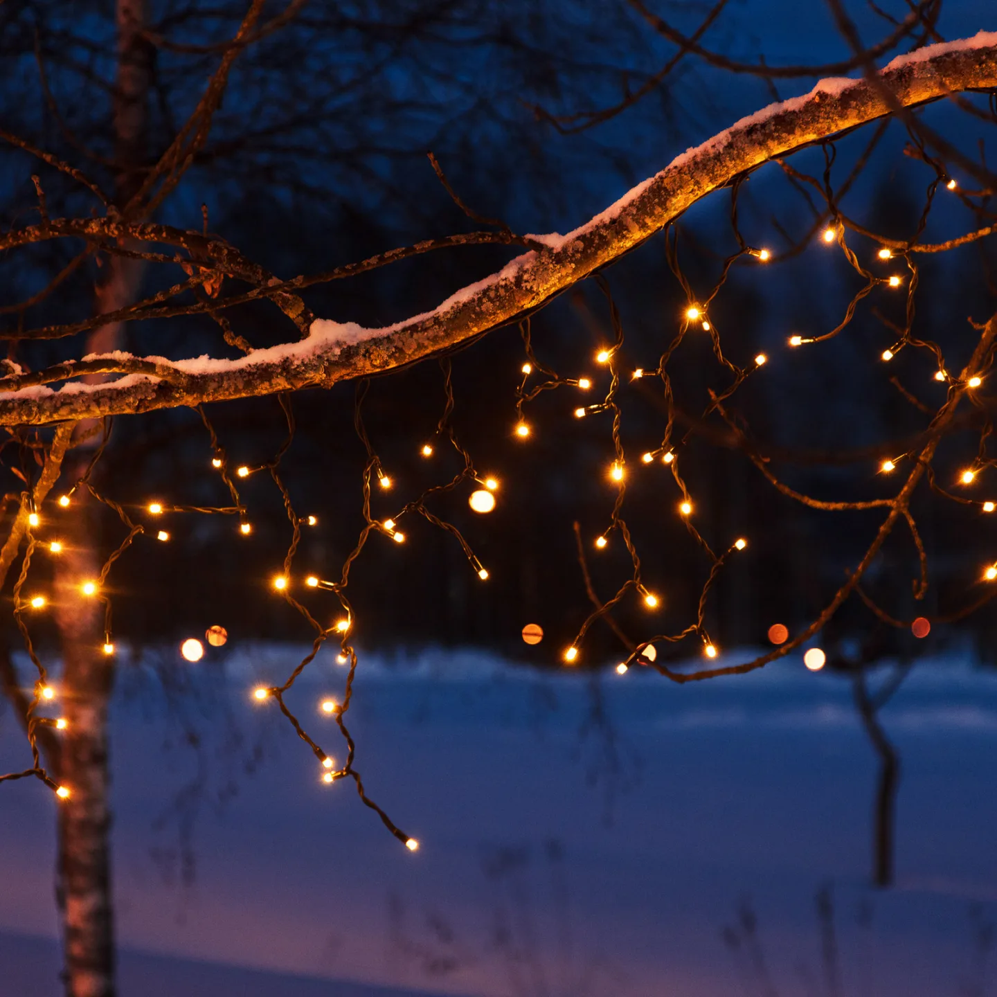 Chrissline Extra LED-ljusgardin, 100 lysdioder, 2 300 K – Markslöjd Chrissline Extra Original