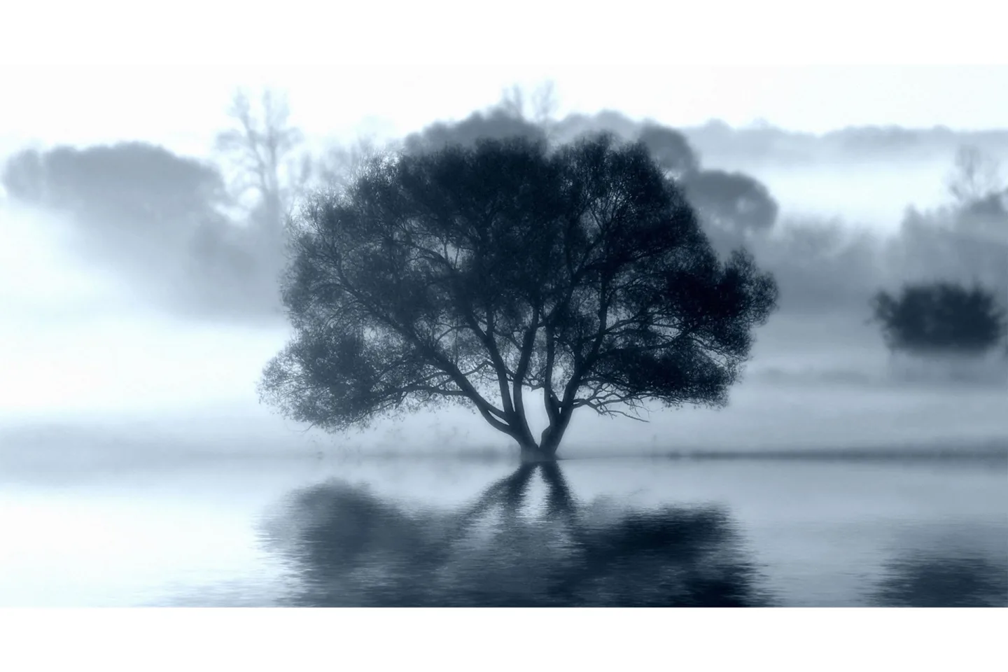 Canvas Sprint Tree - 70x130cm