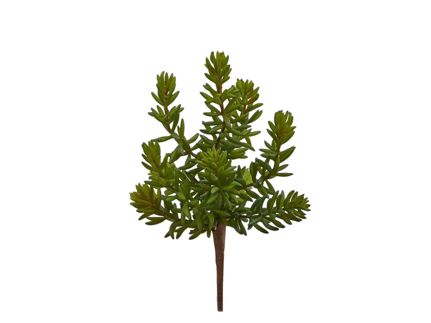 Edg Kunstblume Sukkulente H: 25 cm | Schubiger Möbel